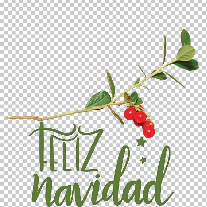 Feliz Navidad Merry Christmas PNG, Clipart, Christmas Day, Christmas Decoration, Christmas Ornament, Christmas Tree, December 25 Free PNG Download