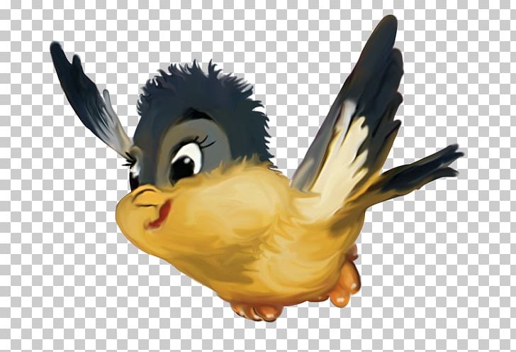 Bird Presentation PNG, Clipart, Animal, Animals, Beak, Bird, Cartoon Free PNG Download