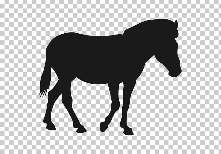 Mule Mustang Stallion Pony Colt PNG, Clipart, Black And White, Bridle, Colt, Foal, Grass Free PNG Download