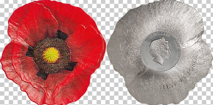 Remembrance Poppy Silver Coin Silver Coin PNG, Clipart, 2017, Armistice Day, Coin, Common Poppy, Cut Flowers Free PNG Download