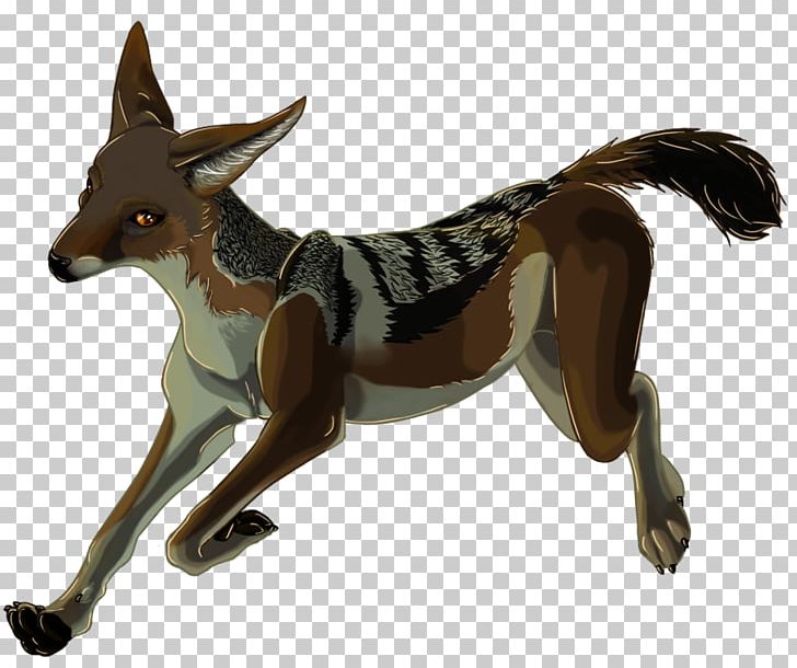 Black-backed Jackal Dog Breed Fox PNG, Clipart, Animal, Animal Figure, Art, Artist, Blackbacked Jackal Free PNG Download