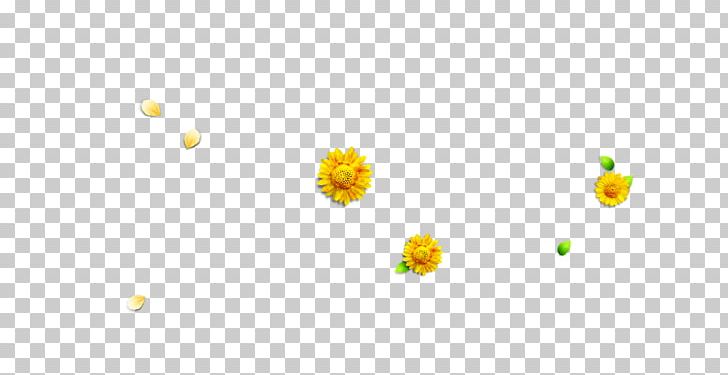 Petal Yellow Pattern PNG, Clipart, Autumn Leaves, Banana Leaves, Chrysanthemum, Circle, Computer Free PNG Download