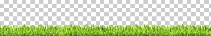 Wheatgrass Grassland Plant Stem Leaf Crop PNG, Clipart, Cesped, Commodity, Crop, Field, Grass Free PNG Download