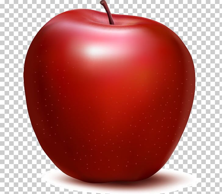 Apple PNG, Clipart, Apple Vector, Auglis, Download, Drawing, Euclidean Vector Free PNG Download