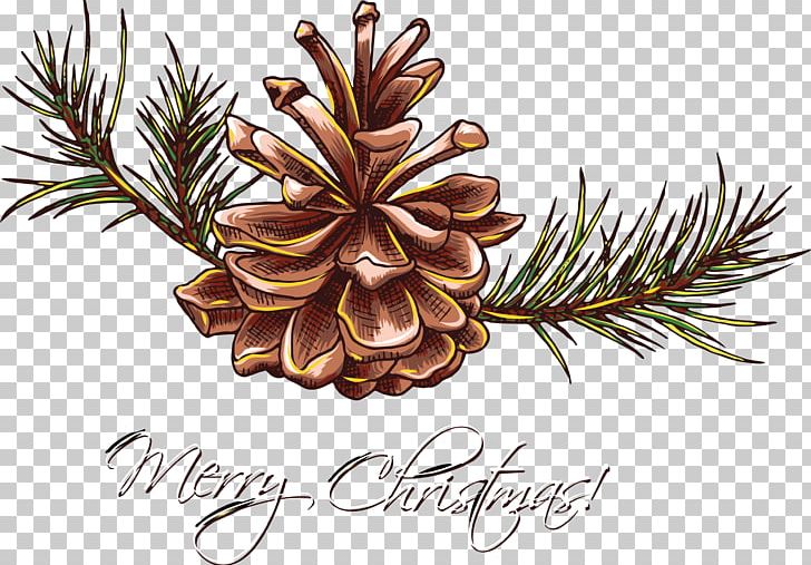 Christmas Ornament Christmas Gift PNG, Clipart, Christmas, Christmas Card, Christmas Decoration, Christmas Gift, Christmas Ornament Free PNG Download