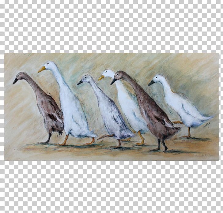Duck Goose Painting Pope Commission PNG, Clipart, Animals, Beak, Bird, Commission, Duck Free PNG Download