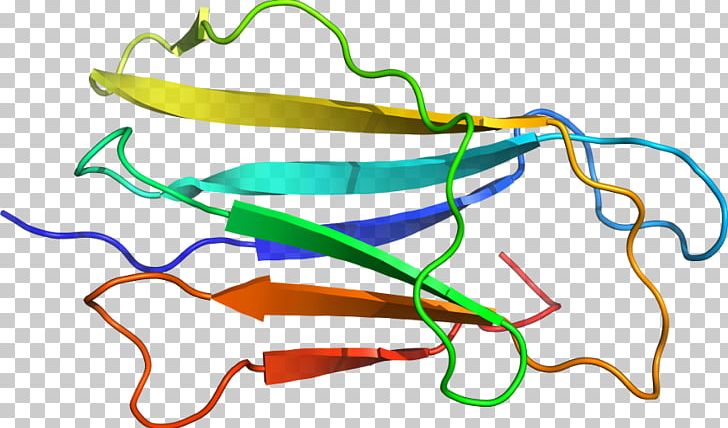 Line Point PNG, Clipart, Area, Art, Beta2 Transferrin, Line, Organism Free PNG Download