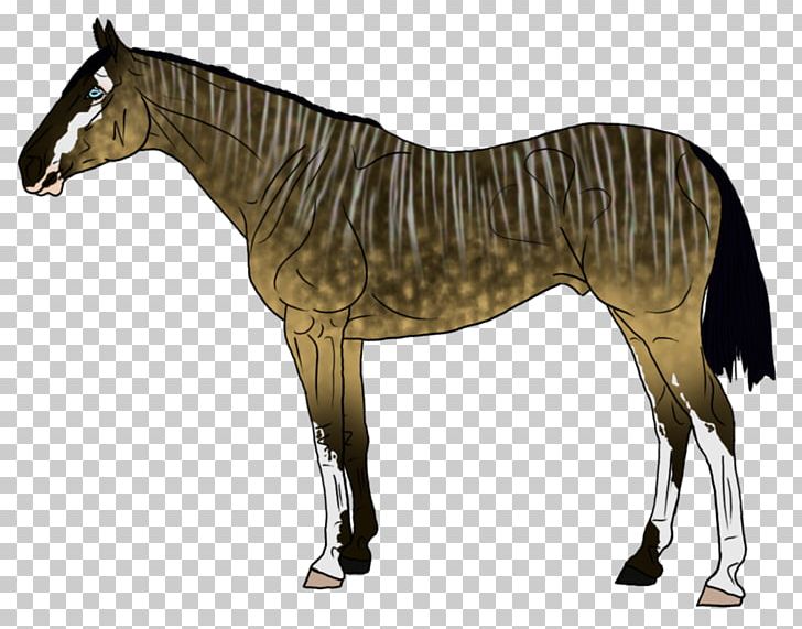 Mane Mustang Stallion Foal Mare PNG, Clipart, Animal Figure, Colt, Foal, Halter, Horse Free PNG Download