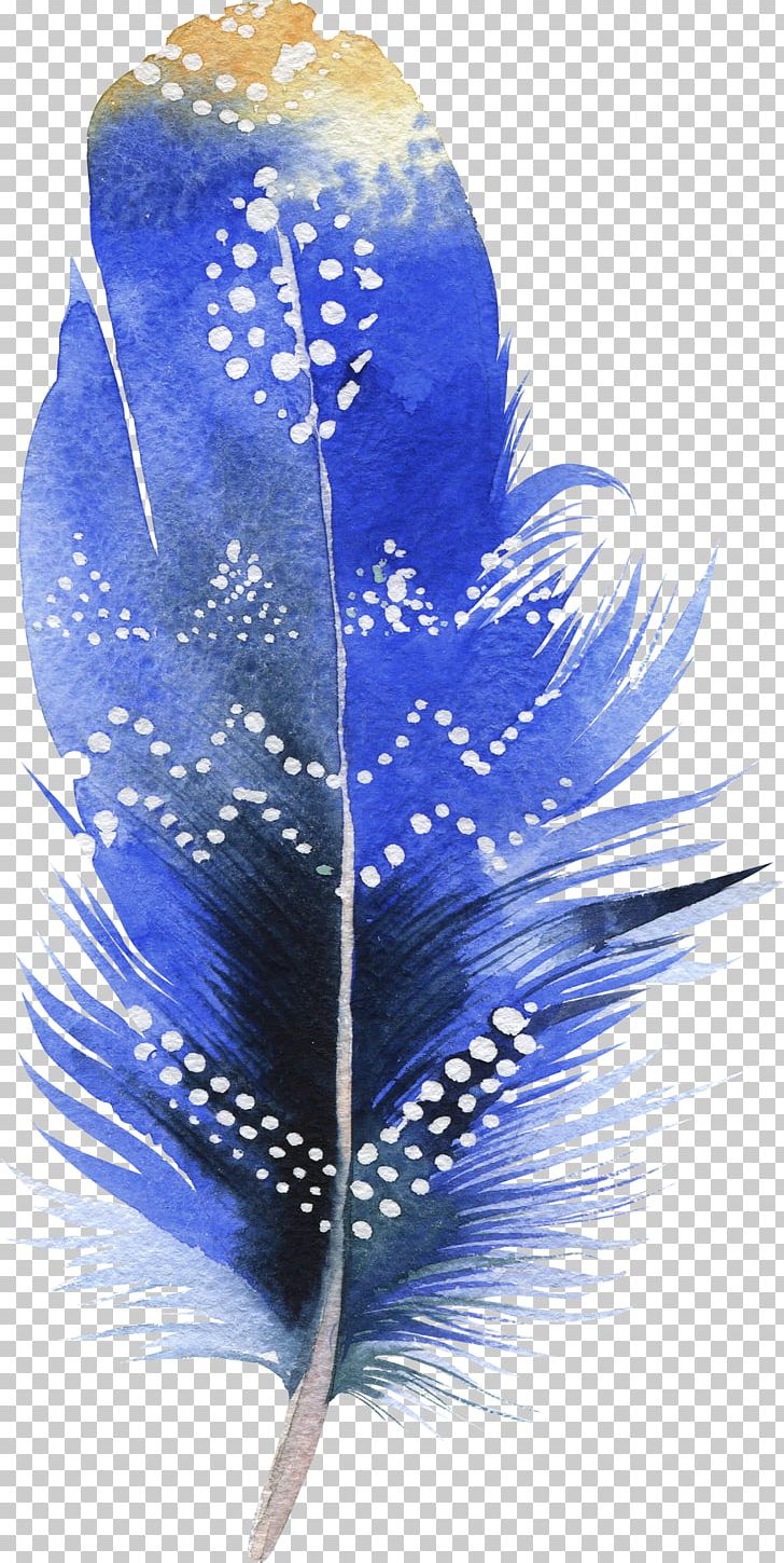 Bird Feather Watercolor Painting Drawing PNG, Clipart, Animals, Bird, Blue, Cobalt Blue, Color Free PNG Download