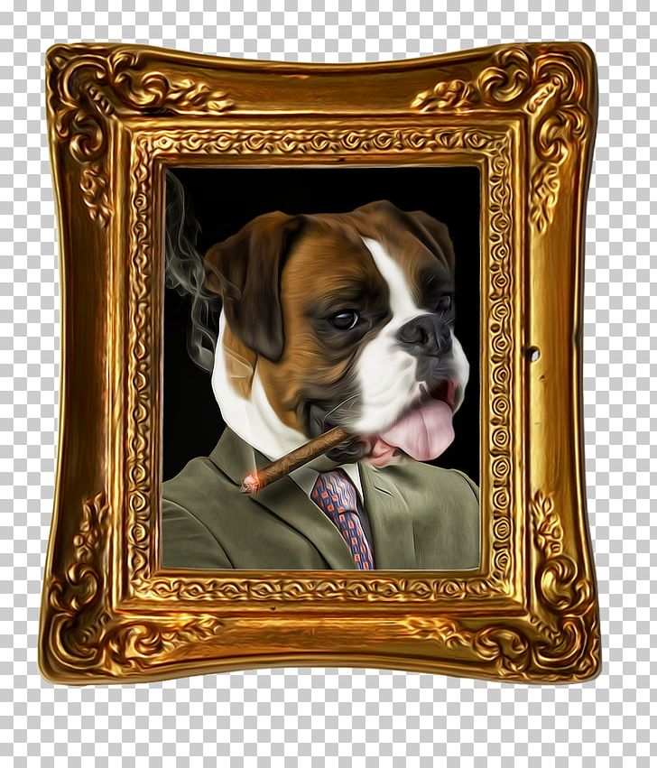 Bulldog Portrait PNG, Clipart, Boston Terrier, Boxer, Bulldog, Carnivoran, Dog Free PNG Download