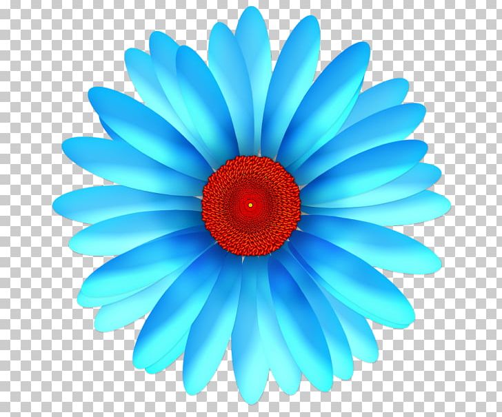 Flower Blue Turquoise PNG, Clipart, Beyonce Knowles, Blue, Closeup, Color, Common Daisy Free PNG Download