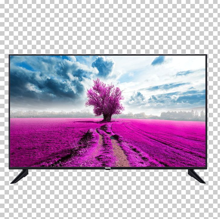 4K Resolution LED-backlit LCD Vestel UB8900 Television PNG, Clipart, Computer Monitor, Computer Wallpaper, Display Device, Flower, Highdefinition Television Free PNG Download