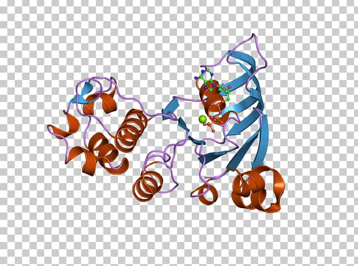 ABCC1 Food Multiple Drug Resistance PNG, Clipart, Abcc1, Animal, Cbz, Domain, Food Free PNG Download