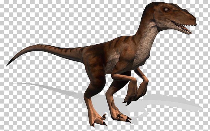 Albertosaurus Tyrannosaurus Allosaurus Pachyrhinosaurus Dinosaur PNG, Clipart, Animal Figure, Ceratosaurus, Dinosaur, Dinosaurs, Extinction Free PNG Download