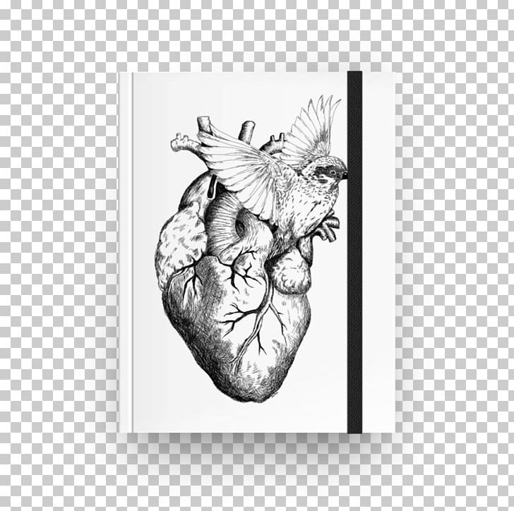Heart Drawing Watercolor Painting PNG, Clipart, Anatomy, Art, Black And White, Drawing, Fashion Illustration Free PNG Download