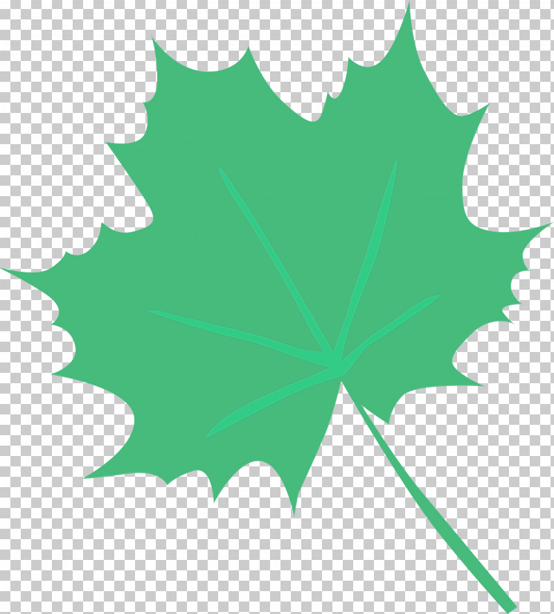 Maple Leaf PNG, Clipart, Cricut, Data, Internet, Maple Leaf, Medellin Free PNG Download