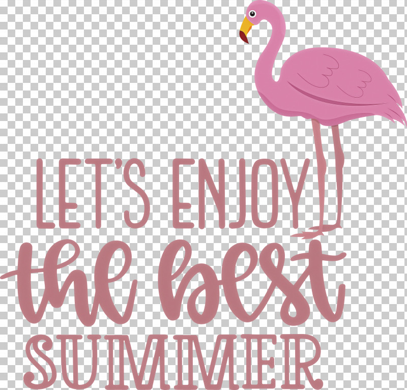 Best  Summer Hello Summer Summer PNG, Clipart, Beak, Best Summer, Biology, Birds, Hello Summer Free PNG Download