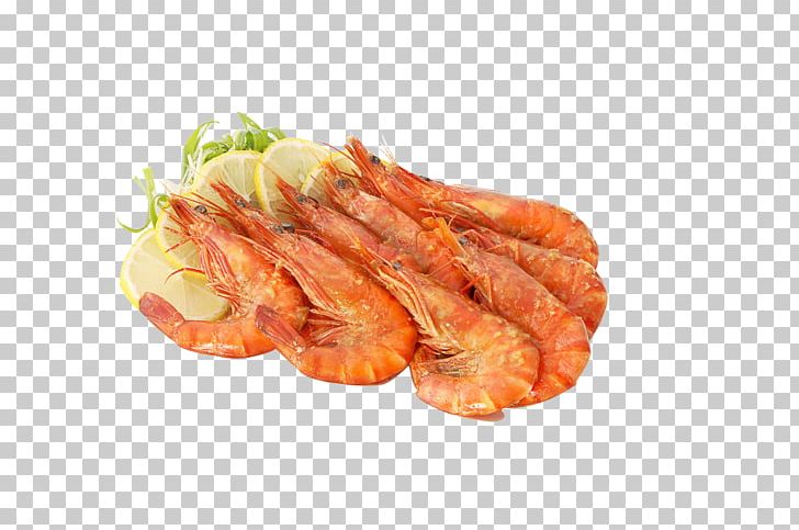 Caridea Bratwurst Shrimp PNG, Clipart, Animals, Animal Source Foods, Cartoon Shrimp, Chorizo, Cooked Shrimp Free PNG Download