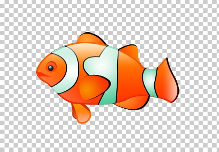 Clownfish Computer Icons PNG, Clipart, Animals, Clownfish, Computer Icons, Computer Program, Computer Software Free PNG Download