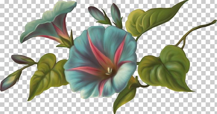 Cut Flowers Painting Floral Design Drawing PNG, Clipart, Cut Flowers, Drawing, Flora, Floral Design, Flower Free PNG Download