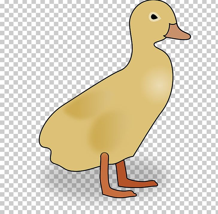 Duck Mallard PNG, Clipart, American Black Duck, Beak, Bird, Cartoon, Chicken Free PNG Download