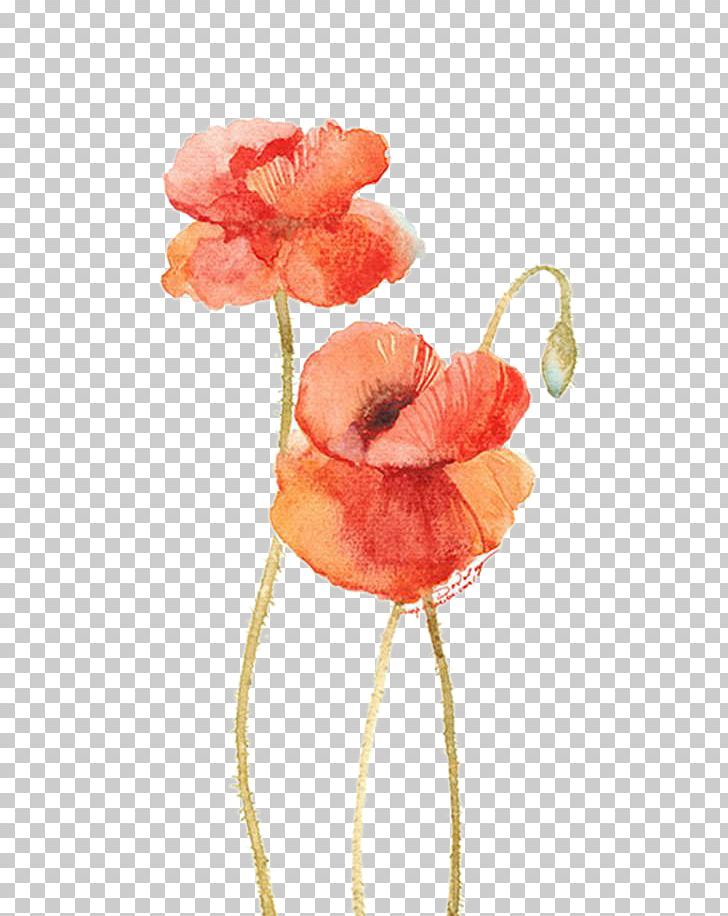 Flower Watercolor Painting Illustration PNG, Clipart, Big, Big Red Flower, Bud, Cartoon, Coquelicot Free PNG Download