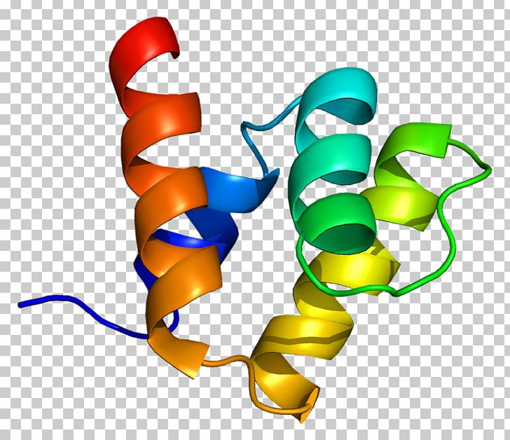 PIAS1 SUMO Protein STAT1 Ubiquitin Ligase PNG, Clipart, Artwork, Dna Ligase, Enzyme, Gene, Genetic Code Free PNG Download