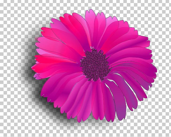 Pink Flowers Pink Flowers Common Daisy PNG, Clipart, Annual Plant, Aster, Common Daisy, Computer Icons, Cut Flowers Free PNG Download