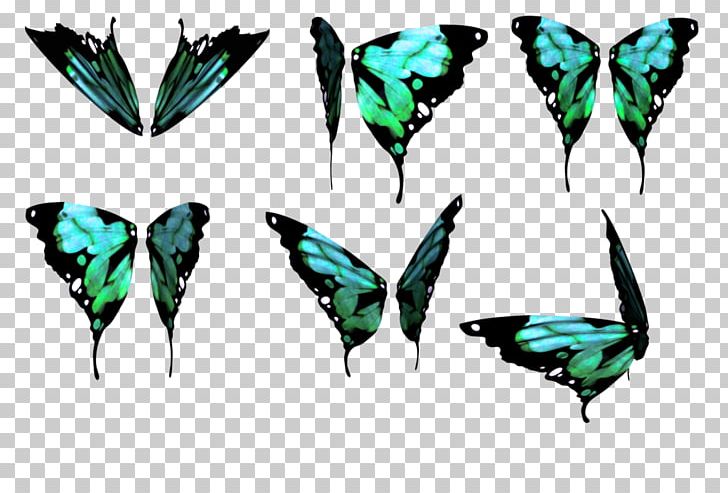 Butterfly Wing Color PNG, Clipart, Arthropod, Butterfly, Color, Desktop Wallpaper, Deviantart Free PNG Download