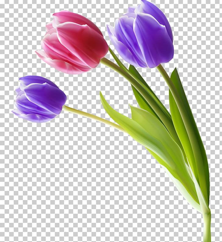 Flower Tulip PNG, Clipart, Artificial Flower, Cartoon, Creative, Encapsulated Postscript, Flowering Plant Free PNG Download