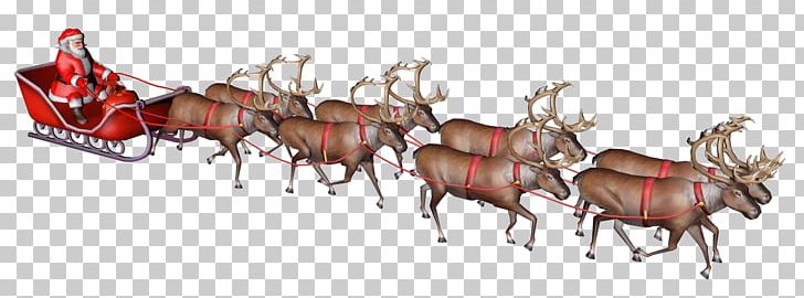 Reindeer Santa Claus Christmas Tree Gfycat PNG, Clipart, Animal Figure, Antler, Baba Nyonya Heritage Museum, Cartoon, Christmas Free PNG Download