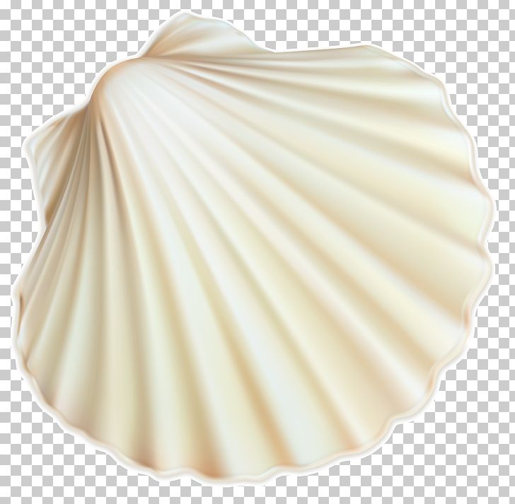 Seashell Restaurant Seashell #6 Seashell Trust Spiral PNG, Clipart, Beach, Beige, Clipart, Cockle, Image Free PNG Download