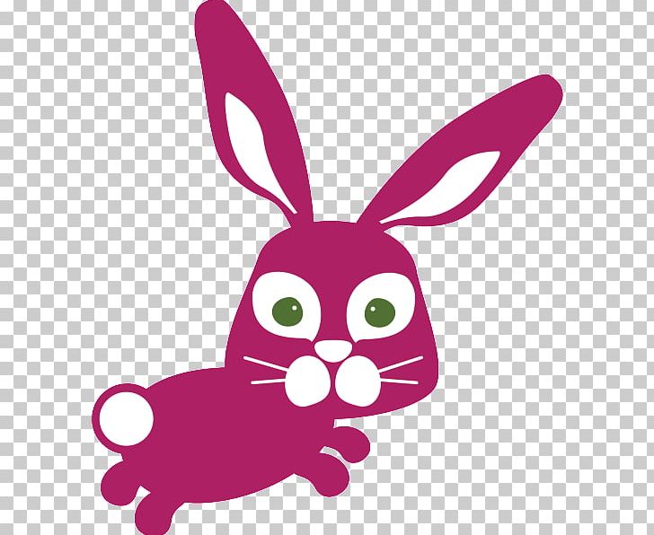 Whiskers Domestic Rabbit Easter Bunny Hare Cat PNG, Clipart, Animals, Astute, Cat, Domestic Rabbit, Easter Free PNG Download