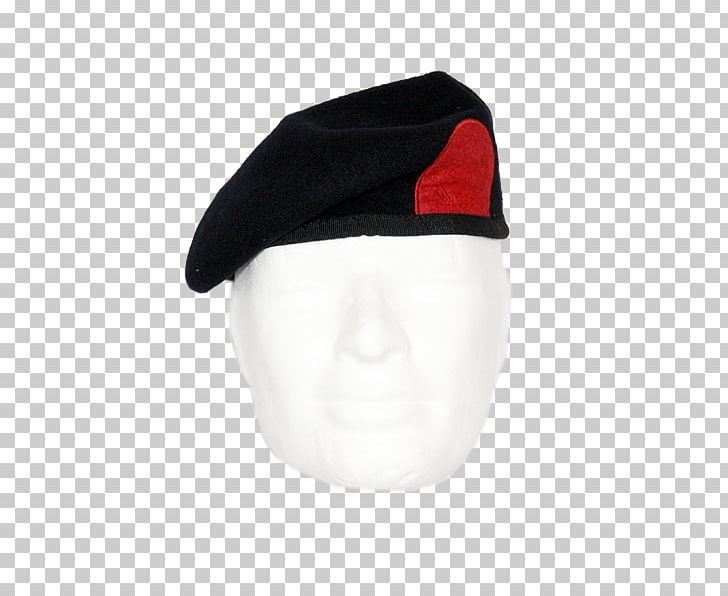 Cap T-shirt Beret Hoodie Hat PNG, Clipart, Beret, Cap, Clothing, Hat, Headgear Free PNG Download