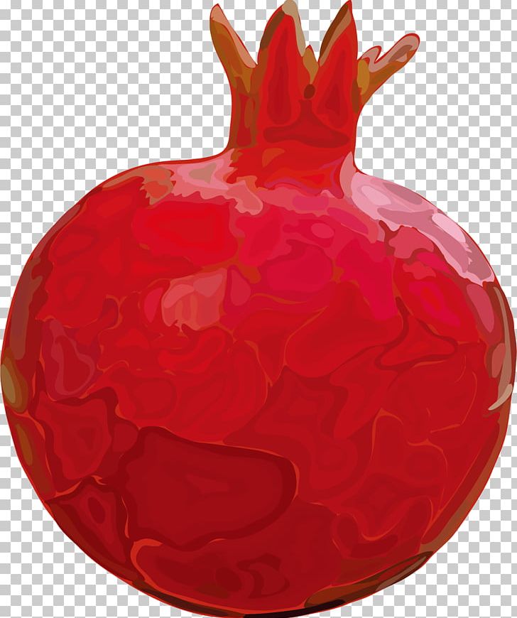 Fruit Pomegranate Euclidean PNG, Clipart, Cartoon, Cartoon Fruit, Decorative, Encapsulated Postscript, Food Free PNG Download