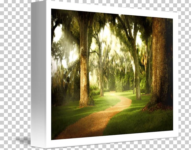 Gallery Wrap Painting Frames Canvas Landscape PNG, Clipart, Art, Biome, Canvas, Computer, Computer Wallpaper Free PNG Download