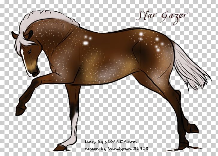 Mane Foal Pony Stallion Mare PNG, Clipart, Bridle, Colt, Foal, Halter, Horse Free PNG Download