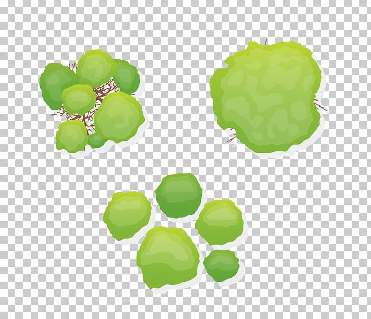 Tree Shrub PNG, Clipart, Architecture, Art Green, Background Green, Clip Art, Drawing Free PNG Download