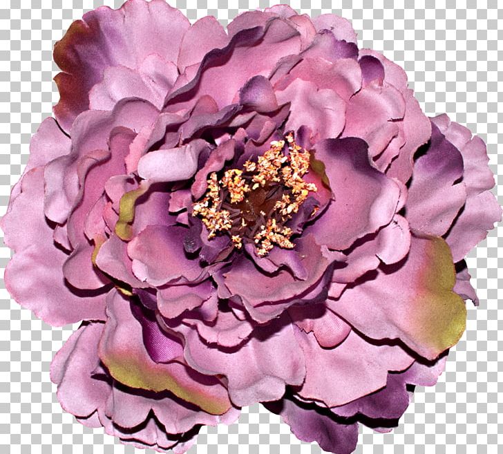 Cut Flowers Centifolia Roses Rosaceae Petal PNG, Clipart, Centifolia Roses, Cut Flowers, Floristry, Flower, Flowering Plant Free PNG Download