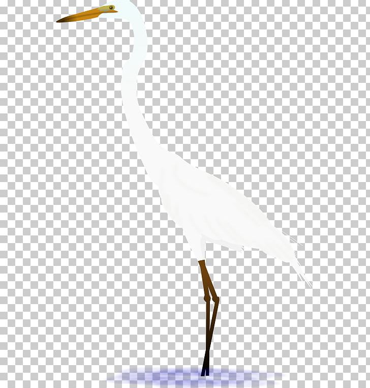 Egret Seabird Beak Wader PNG, Clipart, Animals, Beak, Bird, Ciconiiformes, Crane Free PNG Download