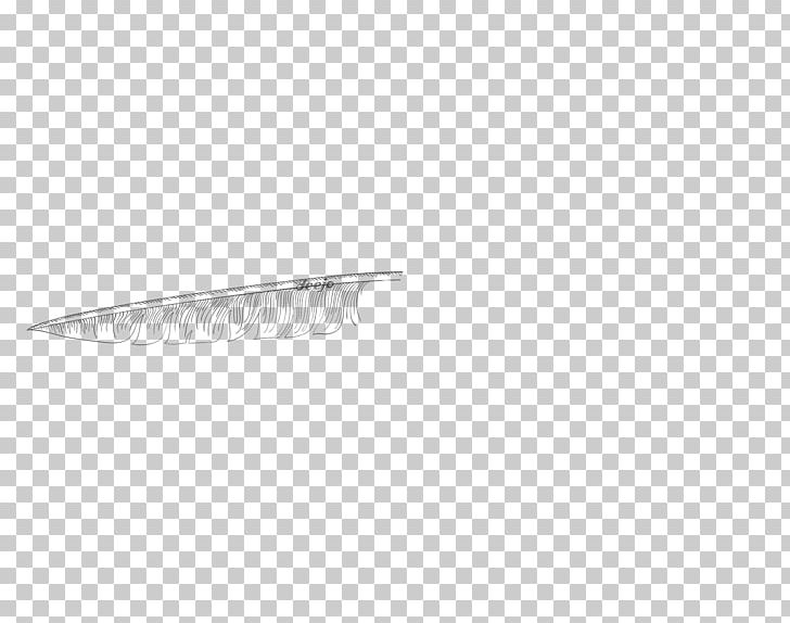 Product Design Feather Angle PNG, Clipart, Angle, Feather, Others, Wing Free PNG Download