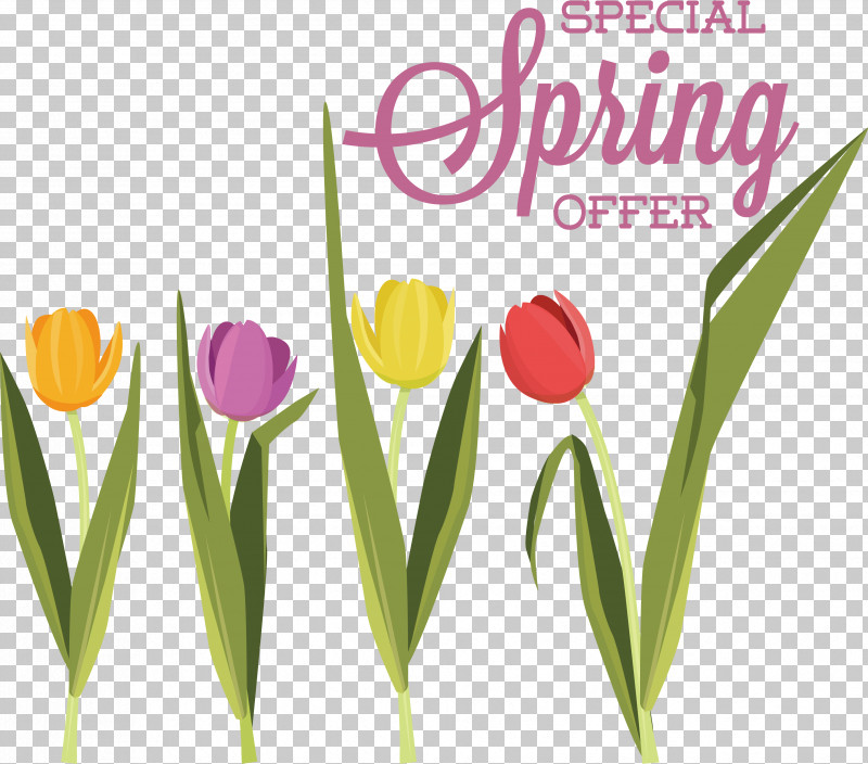 Cut Flowers Plant Stem Floristry Tulip PNG, Clipart, Alinco, Cut Flowers, Floristry, Flower, Plant Free PNG Download