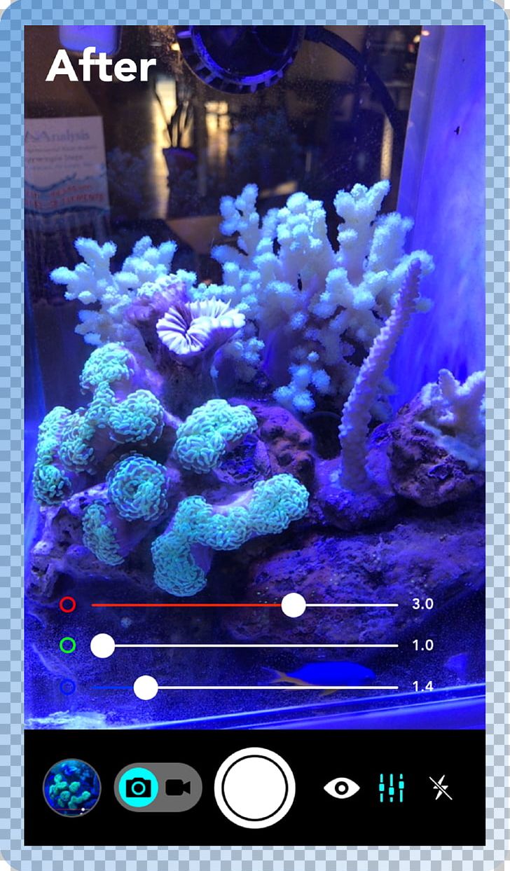 Aquarium Lighting Coral Reef Actinism PNG, Clipart, Actinism, Aquarium, Aquarium Lighting, Camera, Computer Wallpaper Free PNG Download