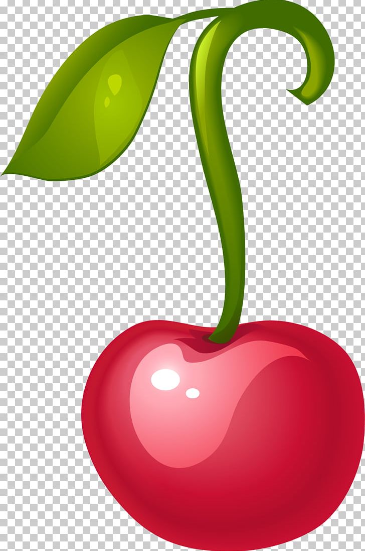 Cherry Fruit PNG, Clipart, Auglis, Cherry, Cherry Blossom, Cherry Blossoms, Diet Food Free PNG Download