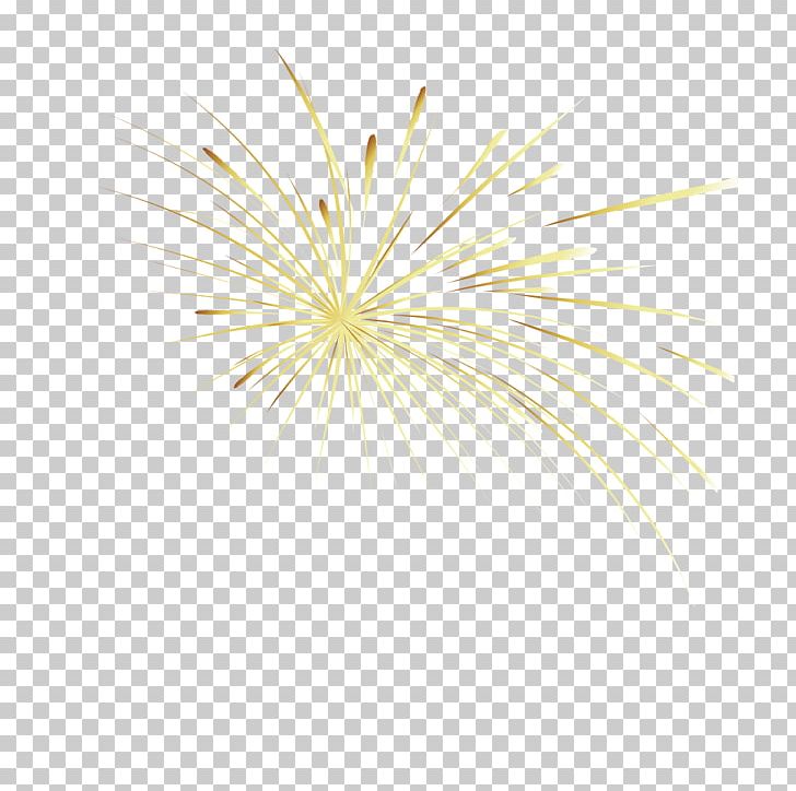 Petal PNG, Clipart, Abstract Lines, Art, Connect, Connection, Connect Lines Free PNG Download