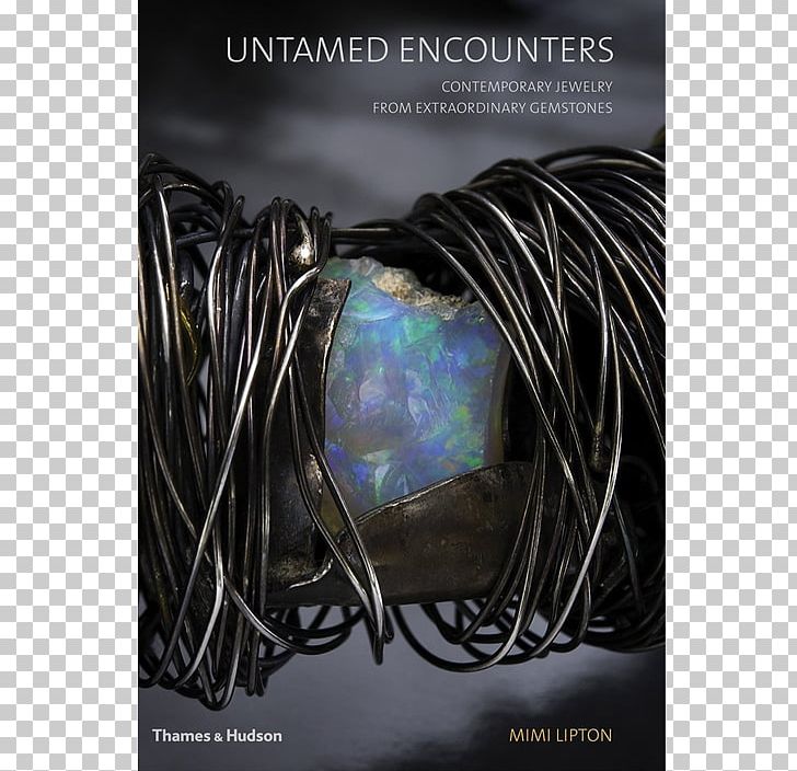 Tea Bag Untamed Encounters: Contemporary Jewelry From Extraordinary Gemstones Lipton PNG, Clipart, Amber Stone, Bag, Book, Brand, Food Drinks Free PNG Download