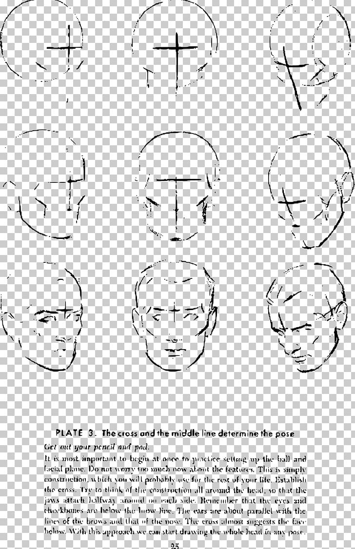 Drawing The Head And Hands Anatomy Sketch PNG, Clipart, Anatomy, Andrew, Andrew Loomis, Angle, Area Free PNG Download