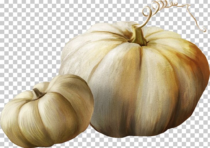 Gourd Winter Squash Pumpkin PNG, Clipart, Calabaza, Cucumber Gourd And Melon Family, Cucurbita, Cucurbita Maxima, Encapsulated Postscript Free PNG Download