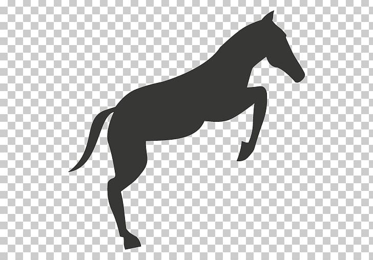 Mule Foal Stallion Colt Pony PNG, Clipart, Black, Black And White, Bridle, Dog Like Mammal, Fictional Character Free PNG Download
