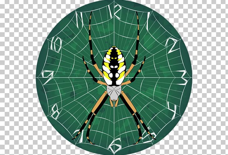 Spider Web Yellow Garden Spider Jumping Spider Drawing PNG, Clipart, Animal, Arachnid, Argiope, Art, Arthropod Free PNG Download